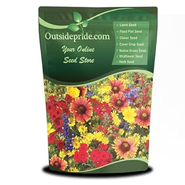 best flowers for texas heat