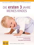 Die ersten drei Jahre meines Kindes: Das umfassende Standardwerk zu Entwicklung, Gesundheit und Erziehung von Birgit Gebauer-Sesterhenn (1. September 2011) Gebundene Ausgabe