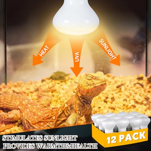 Image of VIHOSE 12 Pack 100 W Reptile Heat Bulbs White Heat Lamp Bulb White Lamp Basking Light Bulb for Reptile, Bearded Dragon, Lizard, Tortoise, Chicken, Leopard Gecko, Amphibian, Pets