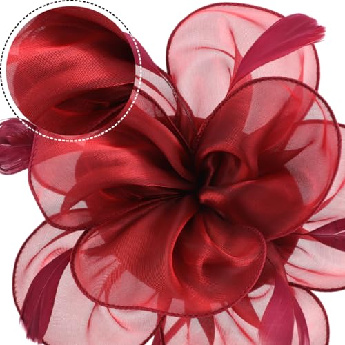 Image of DRESHOW Fascinators Hat Tea Party Headwear Ribbons Feathers on a Headband and a Clip for Women