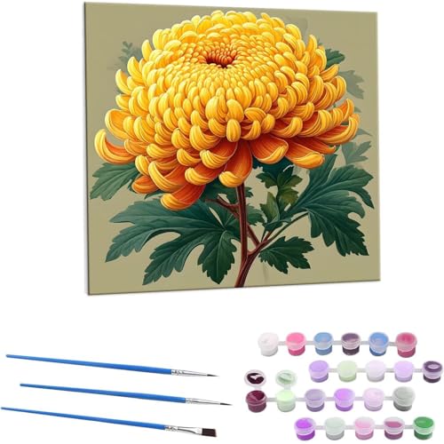 LbgɂG e G LbghG h qƑl S phGLoXNtg|  DIYG fW^G z[ ItBX i 70x70cm (t[X) Z-458