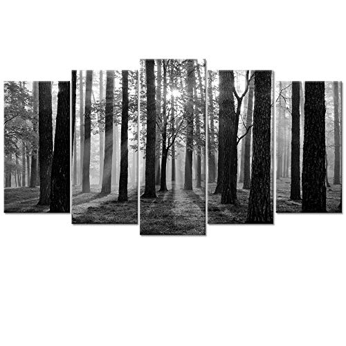 Visual Art Decor Large 5 Pieces Black and White Sunshine Foggy Forest Landscape Canvas Prints Trees Wall Decoration Framed and Stretched Painiting for Living Room Office Artwork