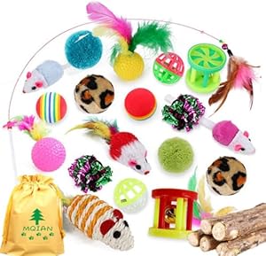 MQIAN 25-teiliges Katzenspielzeug Set Spielzeugmäuse