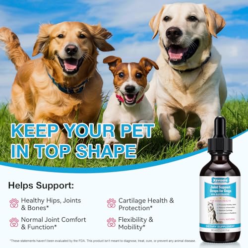 Pain Relief for Dogs, Gelenk Drops für Hunde, Dog Chondroitin Drops, Joint Aid & Relief with Glucosamine, Gelenk- & Knochenschutz für Hunde, 60ML
