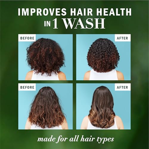 Herbal Essences Argan Oil Repair Shampoo & Conditioner Set, Moisturizes & Smoothes, Paraben-Free, Color-Safe, pH-Balanced, Citrus Scent, 20.2 Fl Oz, 2-Pack