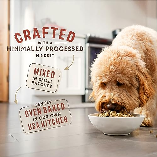 Stella-Chewys-SuperBlends-Raw-Coated-Wholesome-Grains-Cage-Free-Chicken-Duck-Recipe-with-Superfoods-35-lb-Bag Stella Chewys SuperBlends Raw Coated Wholesome Grains Cage Free Chicken Duck Recipe with Superfoods 35 lb Bag