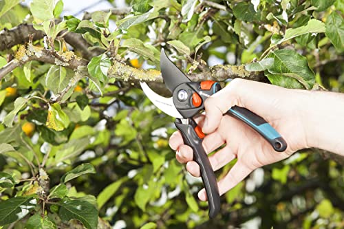 Sécateur à lame franche ajustable pour couper sans effort - 7