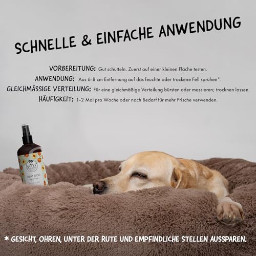 Belly® Hundeparfüm – Duftspray für Hunde & Welpen – Parfüm für Hunde mit fruchtigem Pfirsich – Spray gegen Geruch – pH-neutral – Fellpflege & Hundepflege – 250ml
