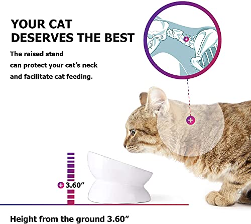 Y YHY Cat Bowl Anti Vomiting, Raised Cat Food Bowls, Tilted Elevated Cat Bowl, Ceramic Pet Food Bowl for Flat Faced Cats… - Image 4