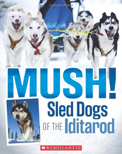 sled dogs amazon
