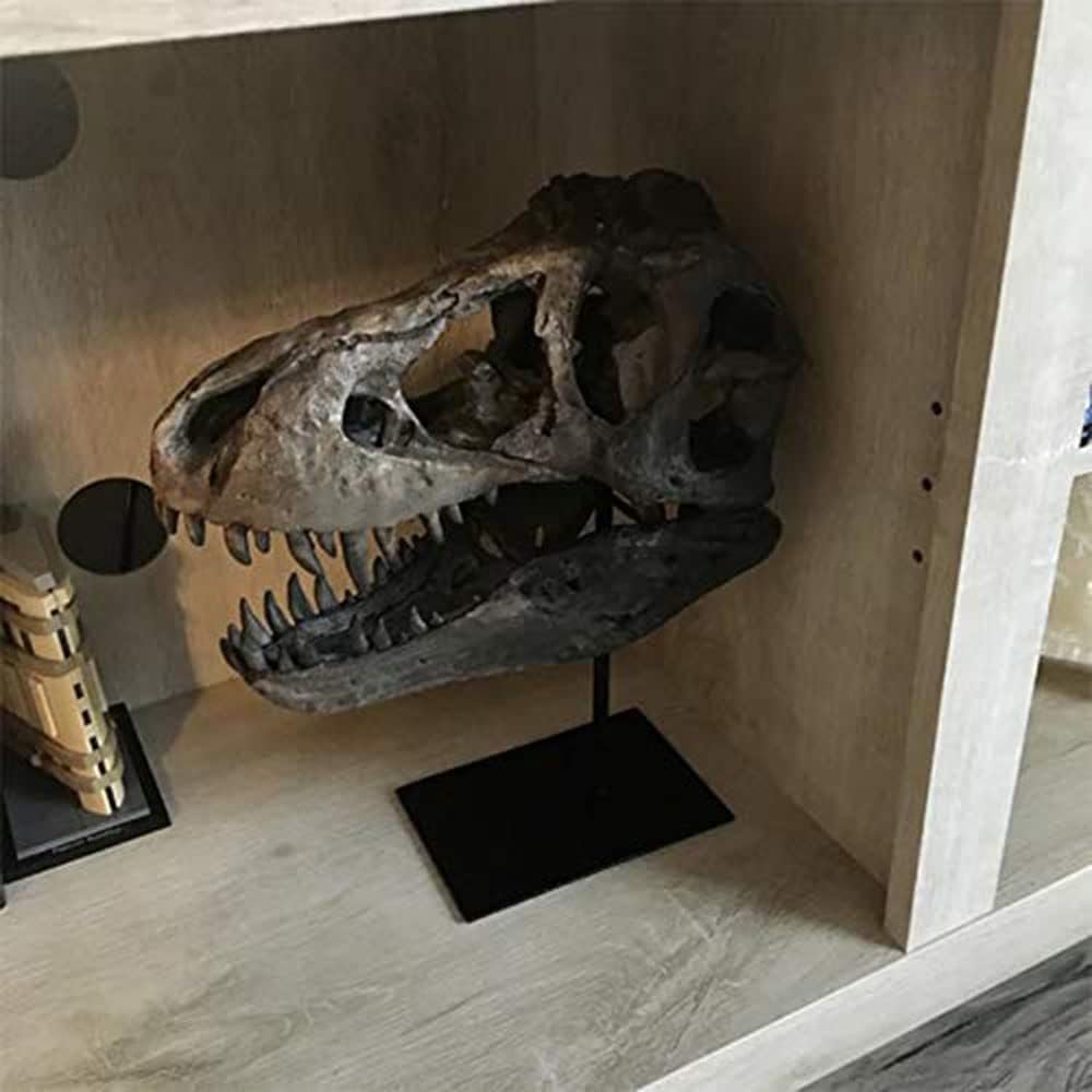Dekoracja biurka Artystyczna Statua - Rzeźba Ozdoby - Statua Czaszki Dinozaura, Model w Skali 1/10 Tyranozaur Rex Czaszka Żywica Rzeźba Realistyczna statuetka w kształcie dinozaura Blat