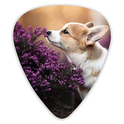 Médiators guitare Kiss Floral 12 pièces médiators ukulélé 0,46 mm 0,71 mm 0,96 mm - Les Beatles, Paul McCartney, John Lennon, RIngo Starr, George Harrison Médiators guitare Kiss Floral 12 pièces médiators ukulélé 0,46 mm 0,71 mm 0,96 mm