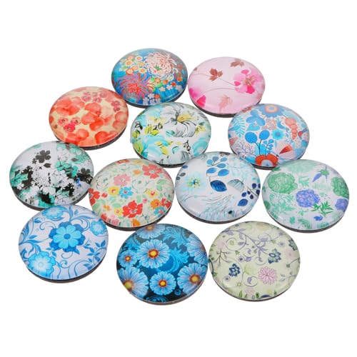 PHENOFICE 12 `ԕKX①Ƀ}Olbg ͎ł킢 XebJ[ Lb`ItBX̑