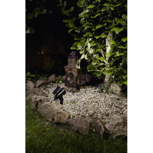 Galix Spot solaire 20lm à piquer, éclairage directionnel pour plantes, arbustes ou entrée de jardin