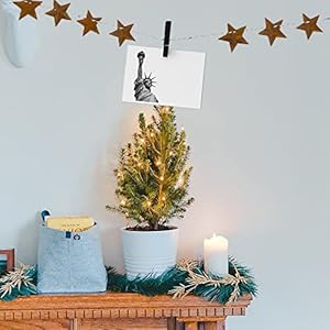 Rustymetalbarnstarforcrafts50pcsvintagetexasrusticstarsartfororiginalretrowesterncountryfamilyfarmhousefestivalpartydecorationswallartdiyhandmadeaccessory177inch Urban Country Home Decor Rusty metal barn star for crafts 50 pcs vintage texas rustic stars art for original retro western country family farmhouse festival party decorationswall art diy handmade accessory 177 inch urban country home decor