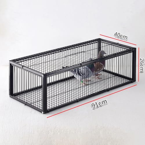 Piège à pigeons pour protéger les potagers et nettoyer les cours