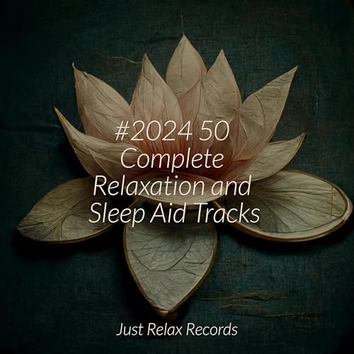 Play 2024 50 Complete Relaxation and Sleep Aid Tracks by Zen Music