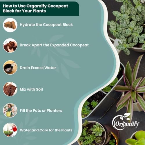 Image of Cocopeat Block 1KG for Home Garden Plants, Organic Coco Peat Brick, Soil Conditioner, Seed Starting, Potting Mix, Indoor Outdoor Plants, Water Retention, Root Growth, Kitchen Garden