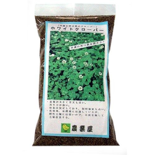 Amazon.co.jp: 緑肥・景観用 種 【白クローバー （ シロツメクサ