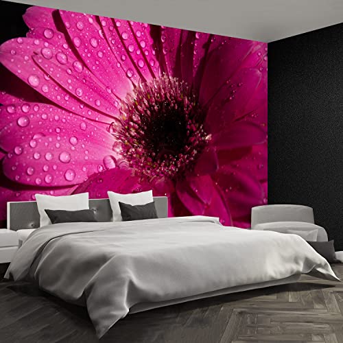 Papier Peint Moderne Tulup Gerbera Violet Masquage Défauts Mur 250x104cm