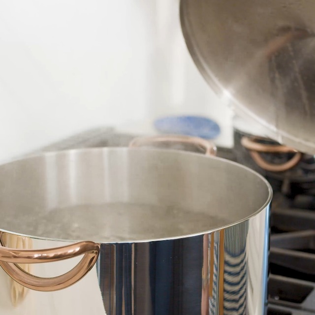 Amazon.com: Great Jones Big Deal 8-Quart Stainless Steel Stock Pot