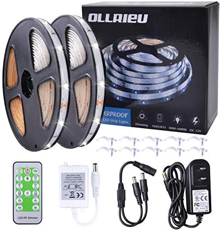 LED Strip Lights 32.8ft White Rope Lighting Outdoor Waterproof Dimmable 12V Power Plug in Infrared Remote Connectable Cuttable 300 Units 2835 SMD Flexible Indoor Tape Light for Bedroom Cabinet Kitchen