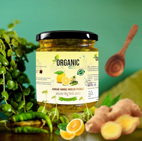 Image of Organic Anand Homemade Ginger Lemon Green Chilli Mix Pickles 500gram Khatta Mix Ghar ka Achaar, Flavourful, Delicious, Traditional Taste