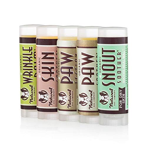 Natural Dog Company Powerhouse Lot de 5 baumes de guérison biologiques et sans Parfum pour Chien soigne Les Fissures, la Peau et Le Nez Sec