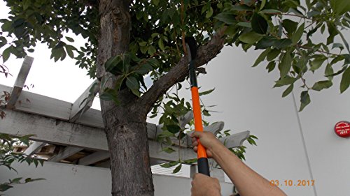 36" Billhook(brush Axe), Heavy Duty.Razor Sharp.