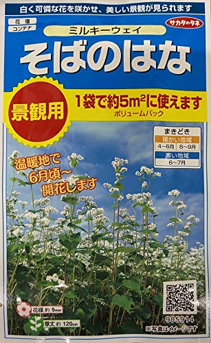 Amazon.co.jp: サカタのタネ そばのはな ミルキーウェイ 景観用