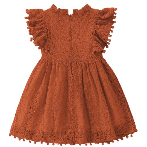 Image of BGFKS Baby Girl Tutu Dress Elegant Lace Pom Pom Flutter Sleeve with Flower Headband Set