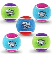 Gigwi Squeaky Tennis Ball Dog Toys, Interactive Dog Ball for Small and Medium Dogs Training, 2.5