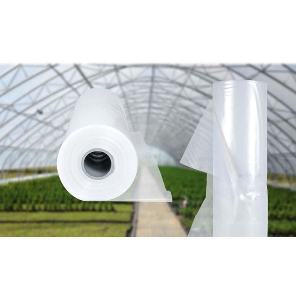 Polythène transparent pour bâche en plastique, 004 mm d'épaisseur, 2 m x 6 m ou 2 m x 10 m, toit de serre, châssis froid et jardin pour protection 2 x 6 m