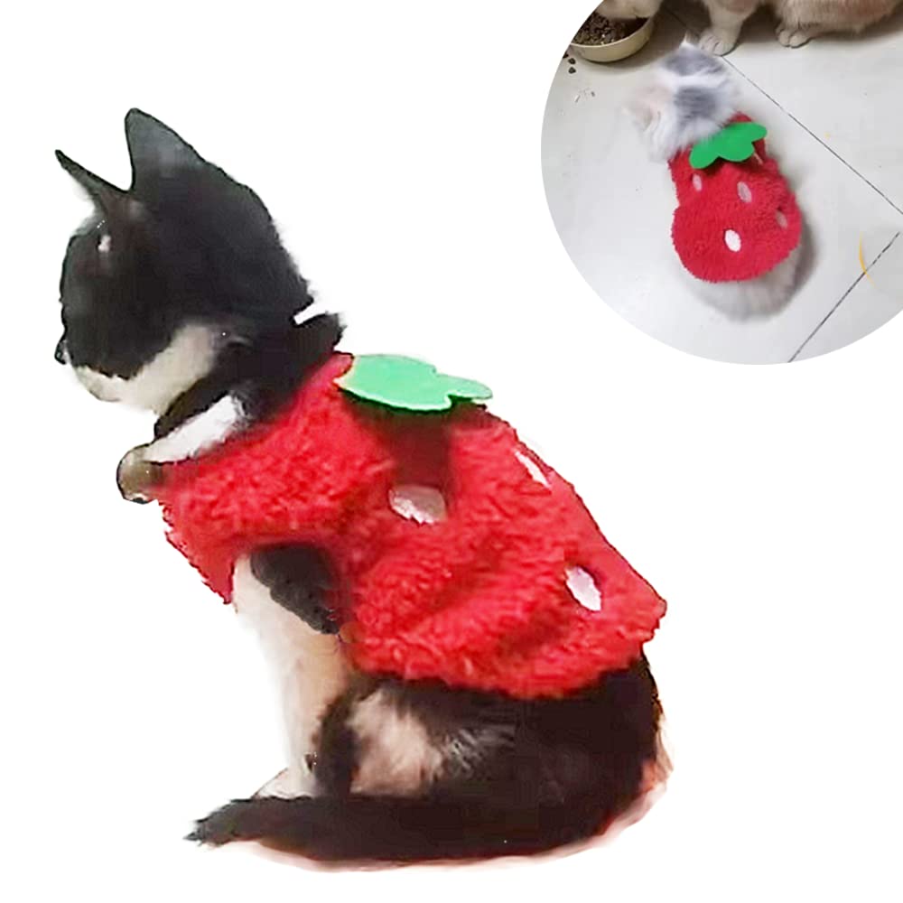 Hasenkleidung Für Kaninchen & Kleintiere – Fleece-Weste Mit Erdbeermuster, Größe 2S (Brust 26,7 Cm)