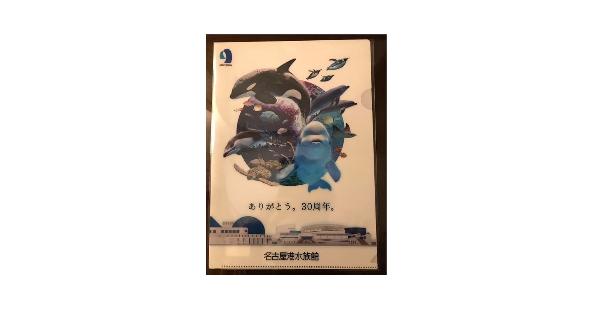 レア　名古屋港水族館限定　クリアファイル　ポストカード レア 名古屋港水族館限定 クリアファイル ポストカード レア