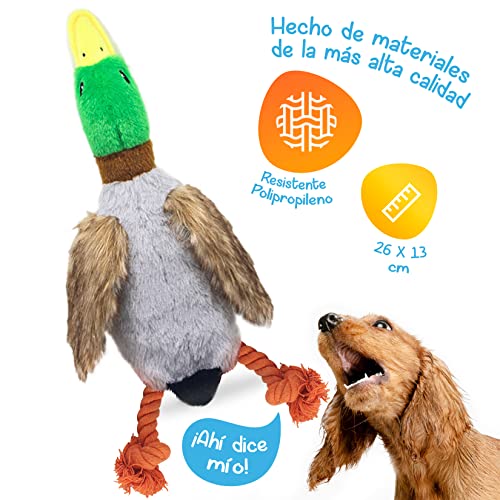 Juguetes Para Perro, Pet Products Imagen adicional