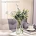 8 inch Clear Glass Flower Vases for Centerpiece Table Home Indoor Desk Decor,Ins Modern Boho Style Vase for Wedding Housewarming Gift