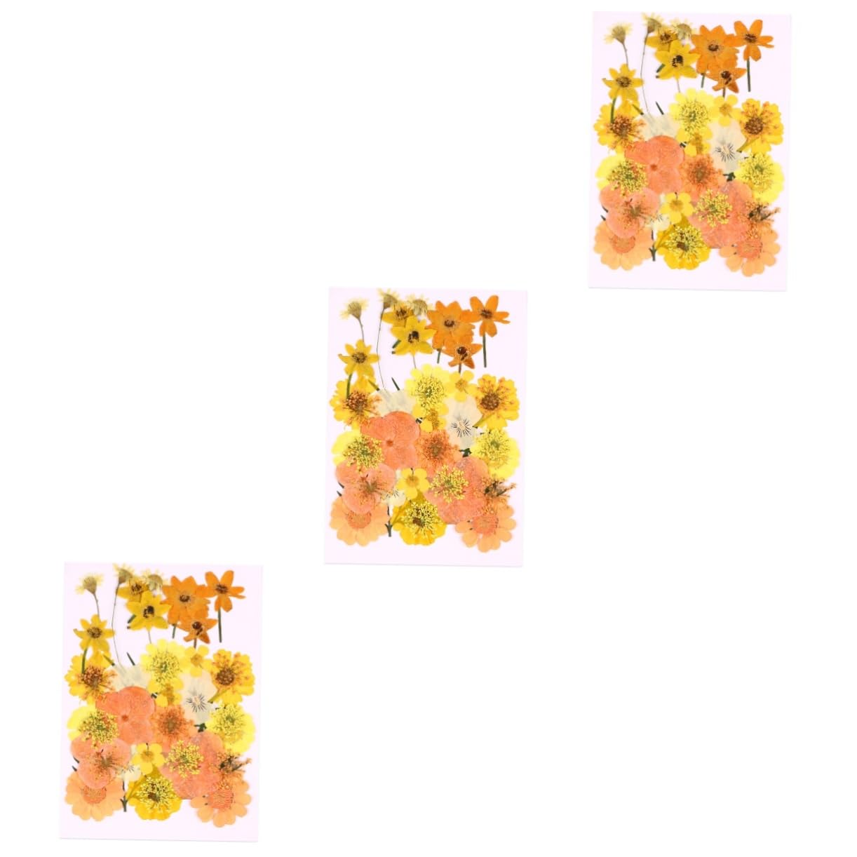 Fleurs séchées pour personnaliser vos faire-part sans casser