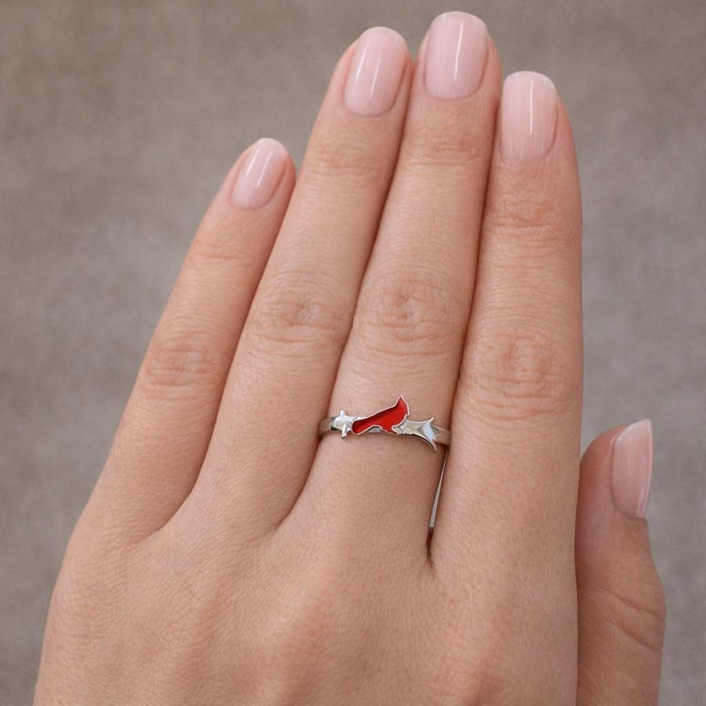 The Positive Christian Cardinal Ring - Stainless Steel - Christian Gifts for Women of Faith - Religious Jewelry Gift for Christmas, Wedding, Anniversary