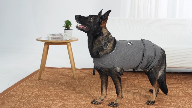 Amazon.com : Meifsou Dog Anxiety Vest, Skin-Friendly Thunder