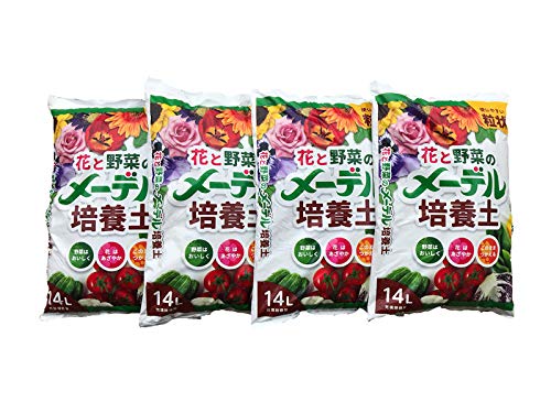 ؁EԂɍœK [f|{y 14L 4܃Zbg