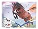 Produktbild Depesche 10295 - Malbuch Horses Dreams