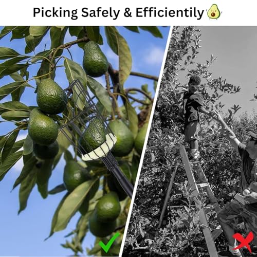 Image of ecofynd Fruit Picker Tool with Adjustable Pole Fixing Clamp, Metal Frame Basket for Mango, Apple, Lemon & Orange, Lightweight Fruit Harvester for Safe Fruit Picking from Trees, Garden & Farm (Black)