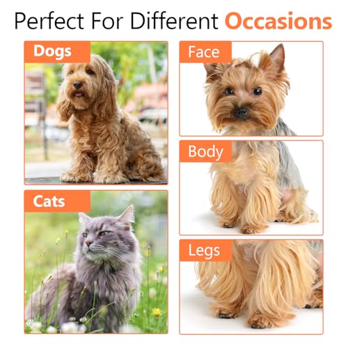 Rounded dog scissors Professional - Sharp Stainless Steel Blades with Colorful Handles, Safe and Easy-to-Use pet scissors for dogs, Long Lasting grooming scissors for dogs at home
