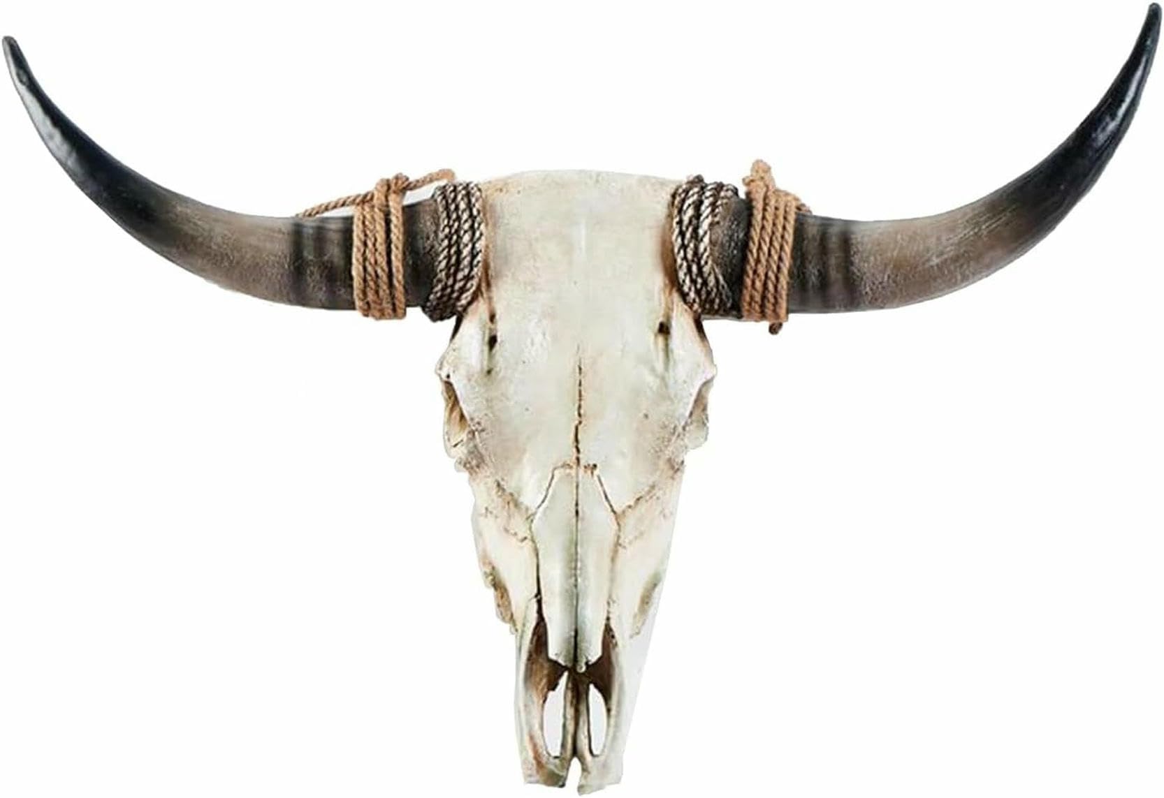 Cráneo de toro de cuerno largo para decoración de pared en resina tallada