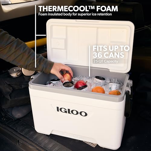 Igloo Marine Ultra 25 Glacière, 23 Litre, Blanc