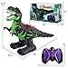 Bennol Remote Control Dinosaur Toys, Electronic Walking Robot Dinosaur Toys with Light Sound, 2.4Ghz RC Robot Dinosaur Toys for Kids Boys 3-5 4-7 8-12 Years Old, Chritmas Gift