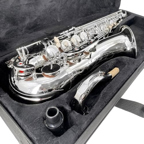 Image of Tenor Saxophone Complete Kit w /Case, Mouthpiece, 10pc Reeds, Professional B Flat Tenor sax, Gold Brass Lacquer, Rich, Warm Tone for Jazz & Classical, Ideal for Students to Pros(Silver)