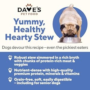   Daves-Pet-Food-Grain-Free-Wet-Dog-Food-Chicken-Vegetable-in-Gravy-Made-in-USA-Naturally-Healthy-Canned-Dog-Food-Added-Vitamins-Minerals-Wheat-Gluten-Free-132-oz-Cans-Case-of-12