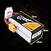 TATTU 14.8V 1300mAh LiPo Battery Pack 45C 4S with XT60 Plug for Nemesis 240 Mini Tweaker 180 Micro Quad LRC Freestyle V1 MXP180 Danaus Vortex FLIP 250S MINI FLIP RC Heli Airplane Drone FPV Quadcopter